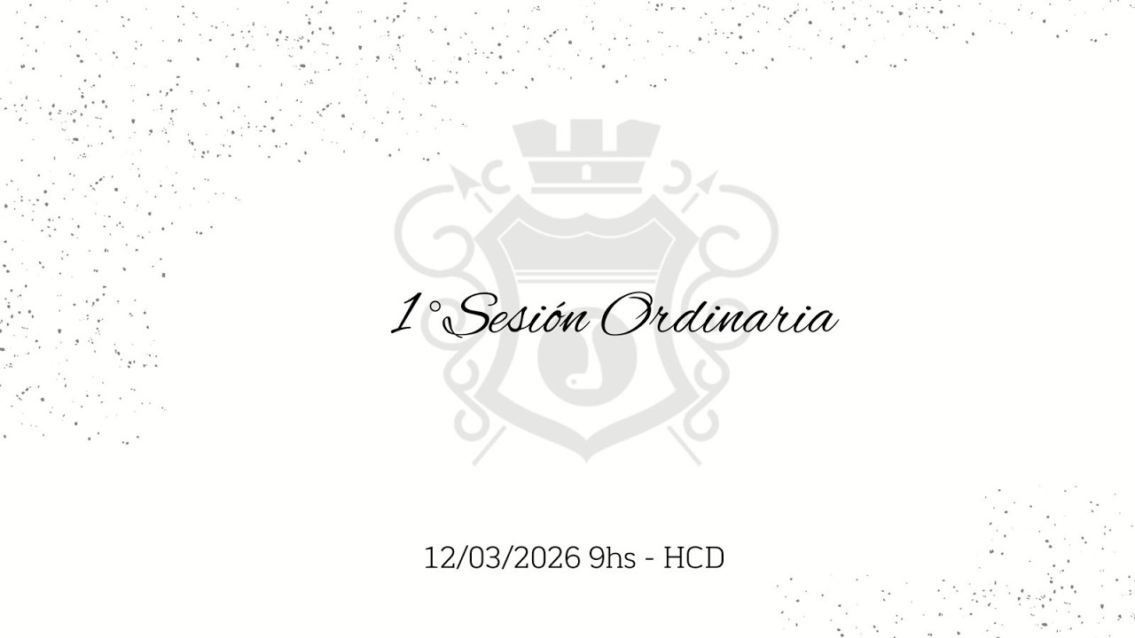 Primera Sesión Ordinaria 12/03/2026
