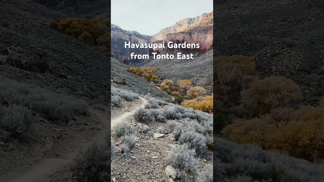 Grand Canyon Fall Foliage From Tonto Trail East — Plateau Point & North Rim Views