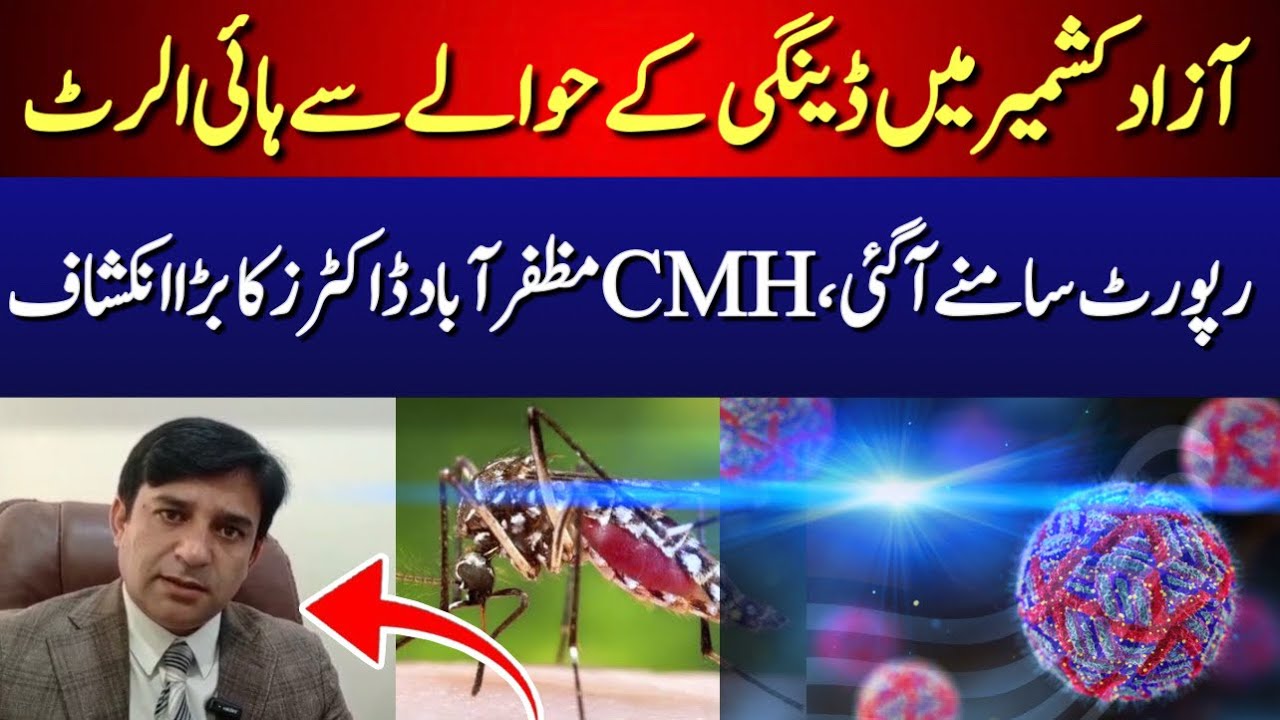 Dengue Outbreak in Azad Kashmir: High Alert Issue  | AJk Latest | Breaking News | The Kashmir |