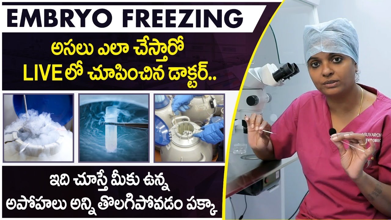 LIVE: ఎంబ్రియో ఫ్రీజింగ్ | Embryo Freezing Process Live In Telugu | Dr C Suvarchala | Ziva Fertility
