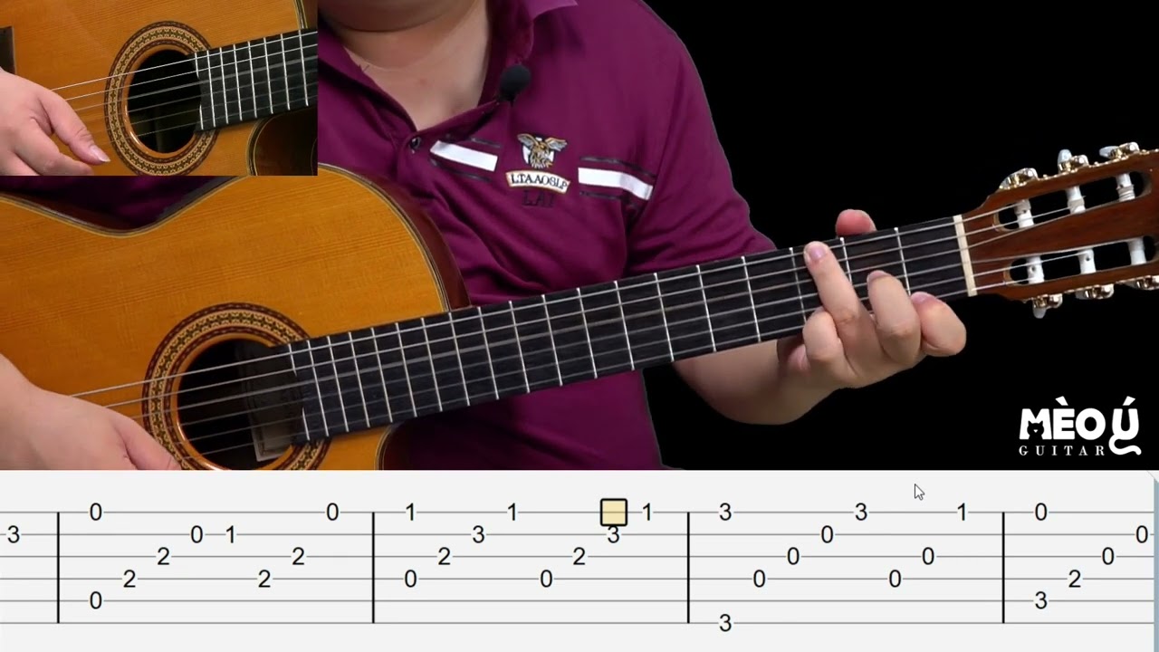 Dạo Đầu Guitar Bài Phố Xa Như Nào Cho Hay? Hãy Cùng Xem Mèo Ú Hướng Dẫn Nhé