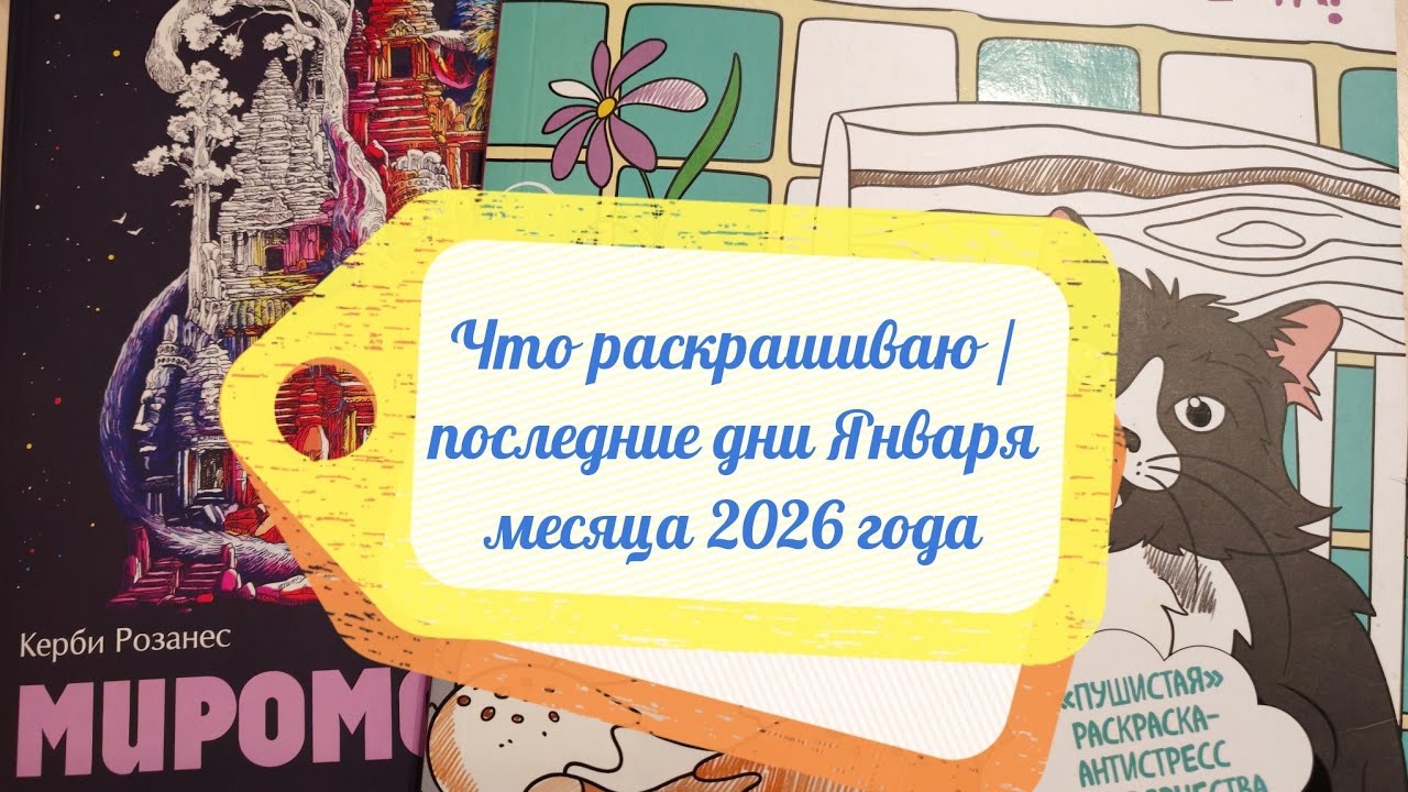Что раскрашиваю в последние дни Января месяца 2026 года 🤗