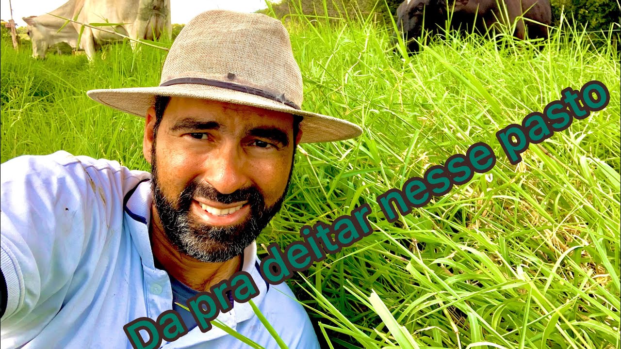 FABRÍCIO FEZ UM PASTO NO QUINTAL. QUE CAPIM É ESSE ? 🐄🐆 PIROU DE VEZ !!!!!!