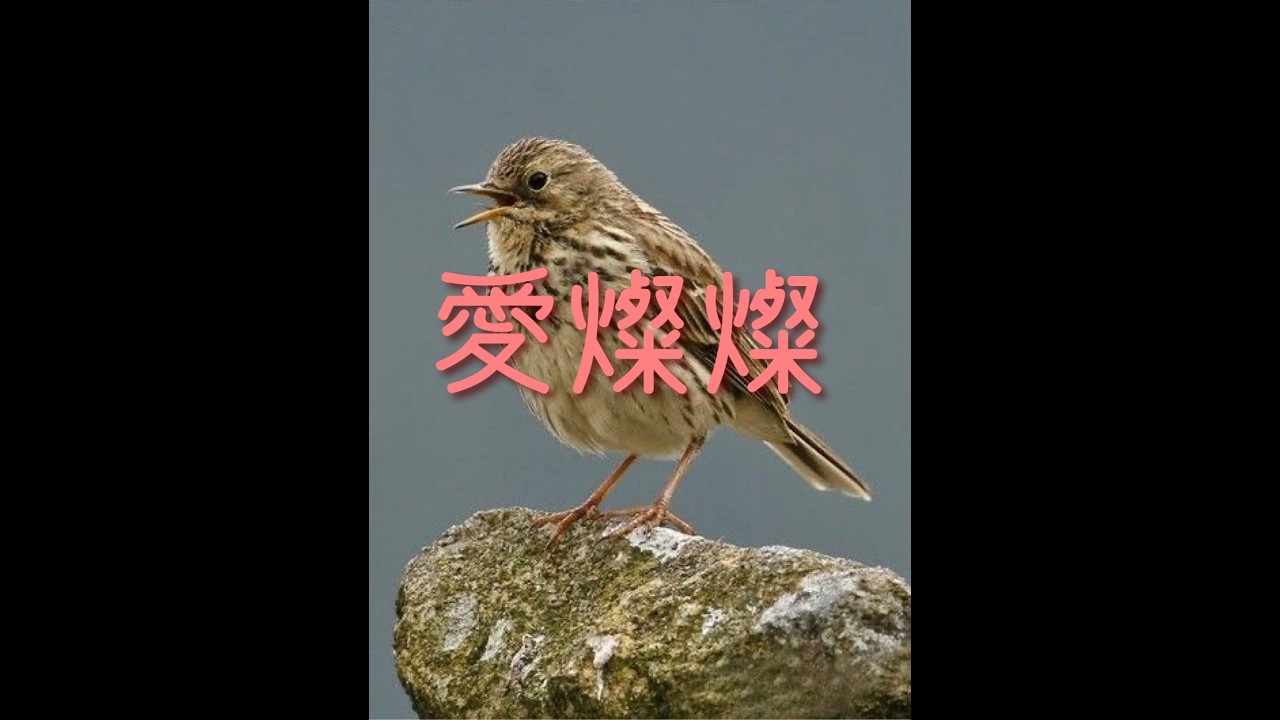 愛燦燦