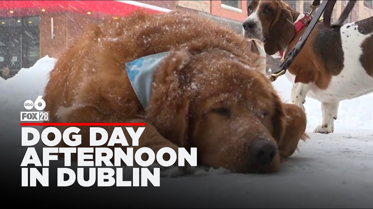 Ohio's popular Dublin Bridge Park area turns into a ghost town during Monday's snowstorm