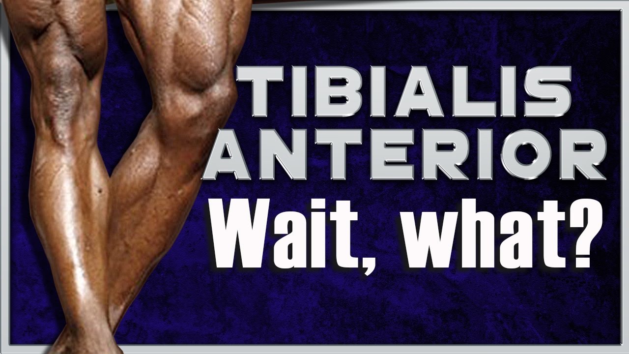 Tibialis Anterior Workout @ Home! - No Gym Needed!