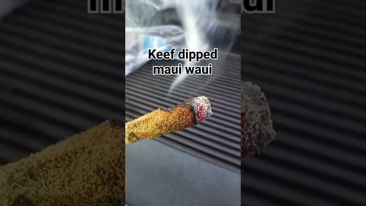 keef dipped Maui waui #keef #joint #smokin