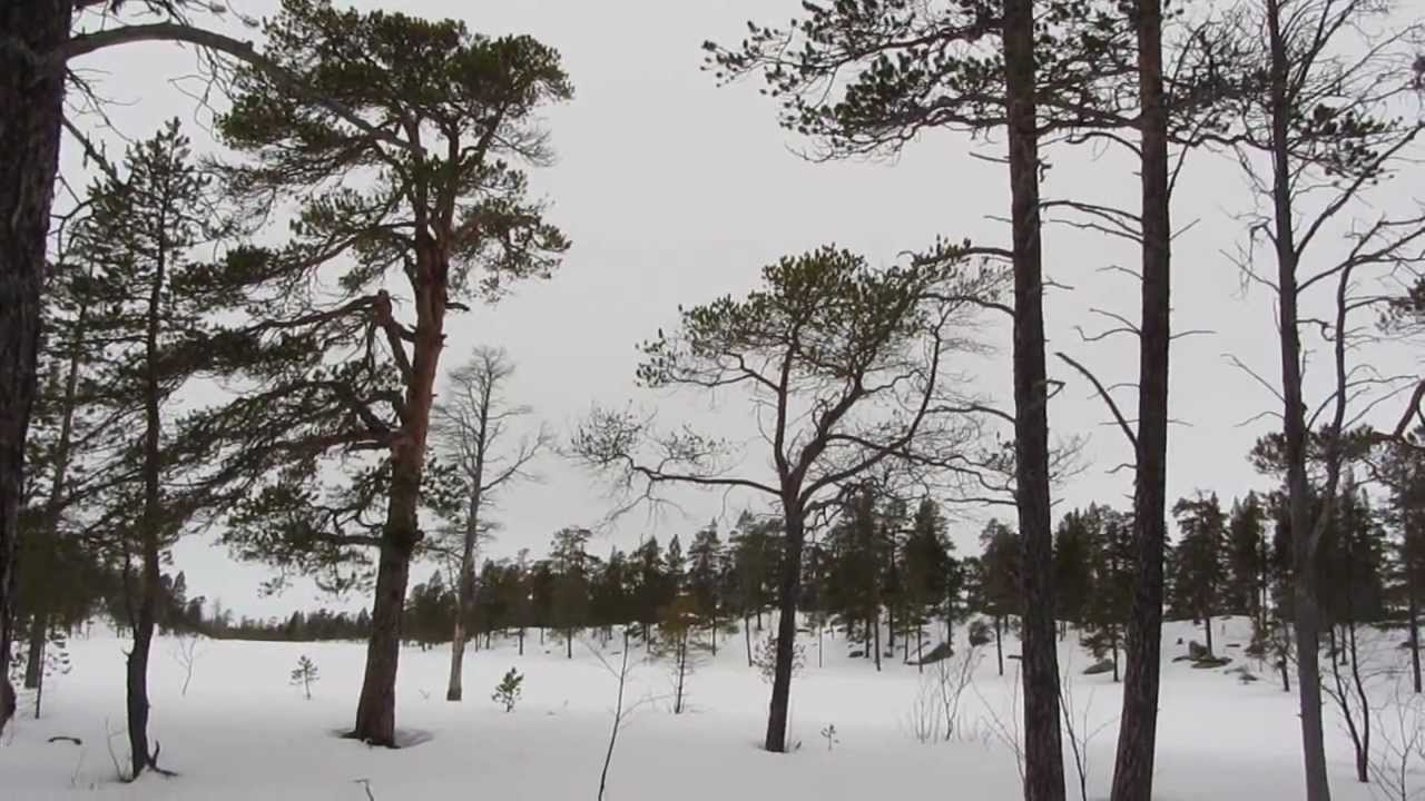 Femund - Backcountry Skiing in Norway Part 1
