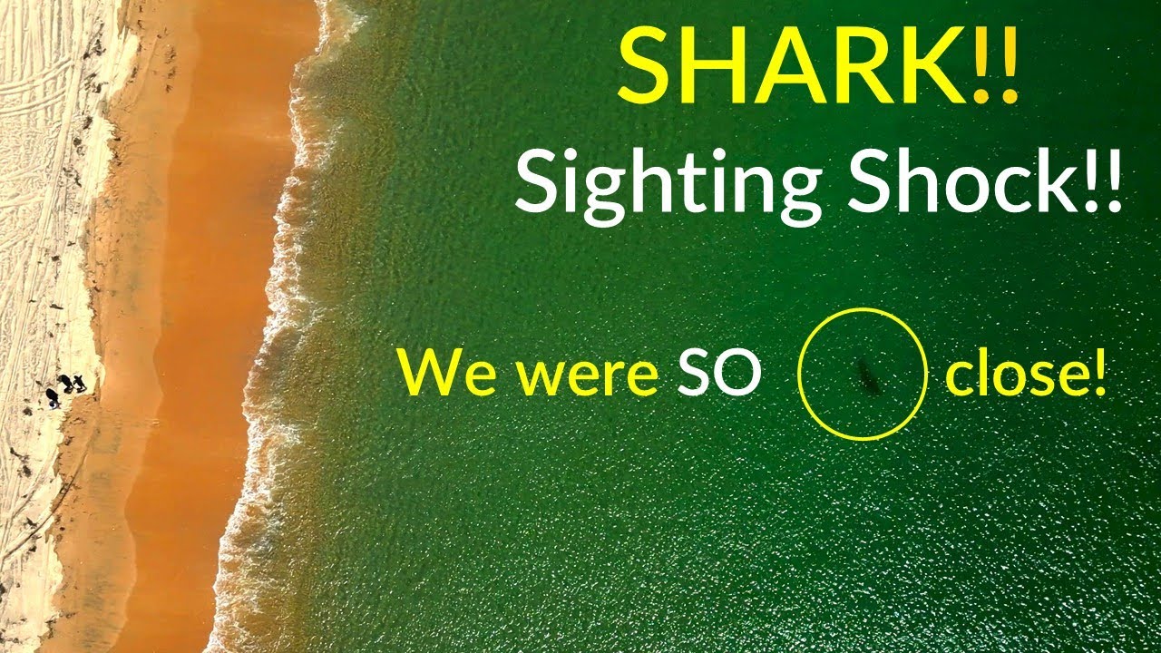 Shark Bay Adventure. Close Calls, Wild Beauty & Epic 4WD Tracks