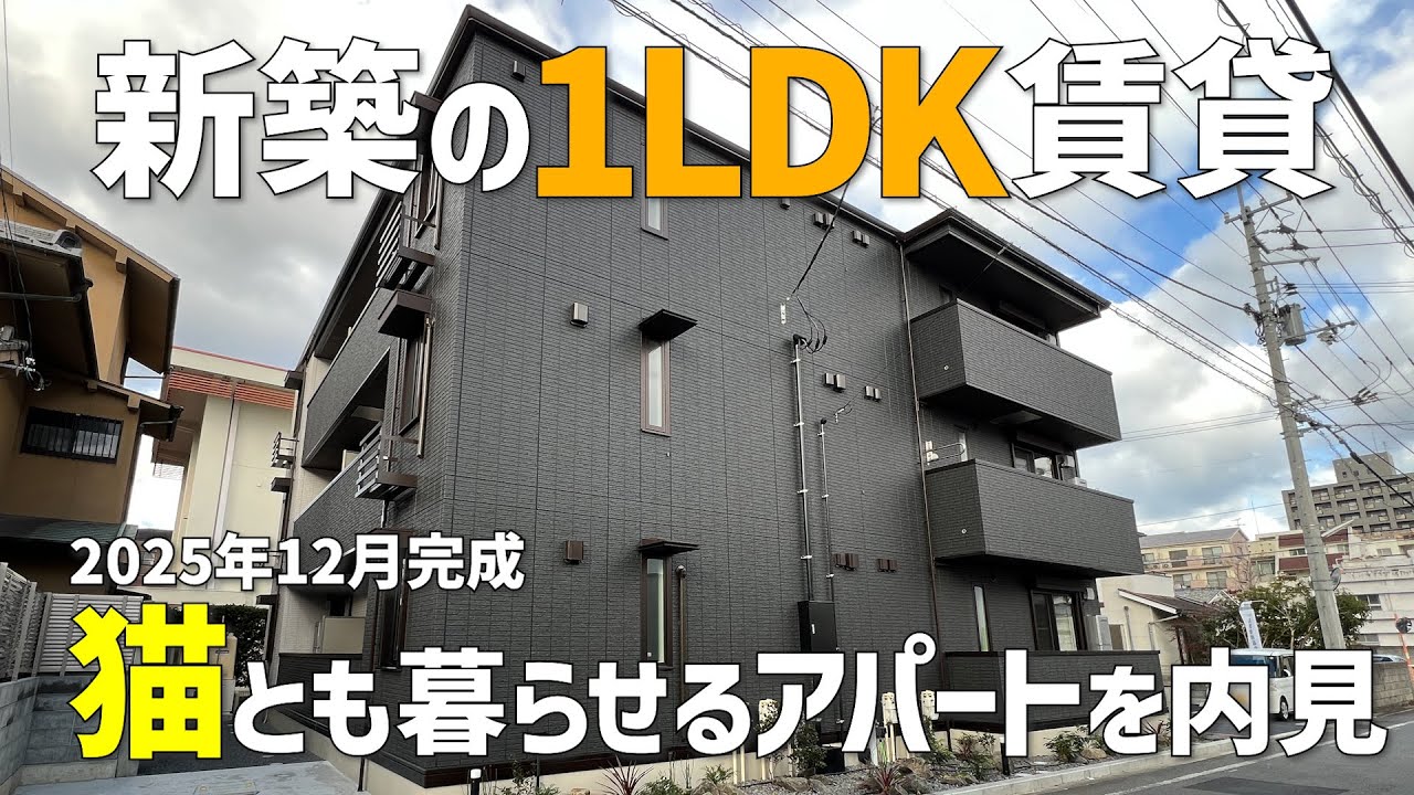 新築ペット可の1LDK賃貸😻2025年12月完成の猫とも暮らせる一人暮らしアパートをみきゃんと内見ルームツアーin松山市