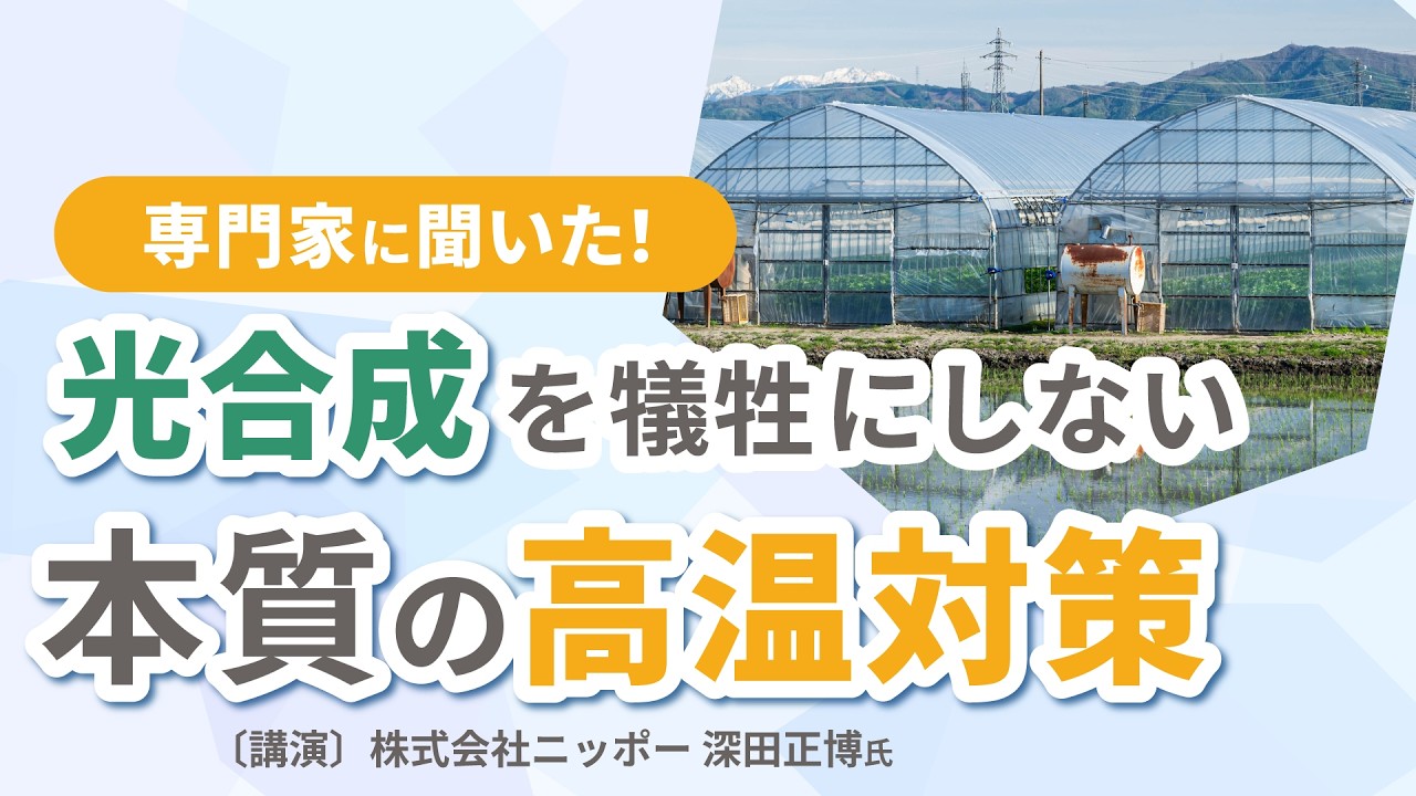 【ビニールハウスの暑さ対策2025】本質の高温対策とは？専門家に聞きました