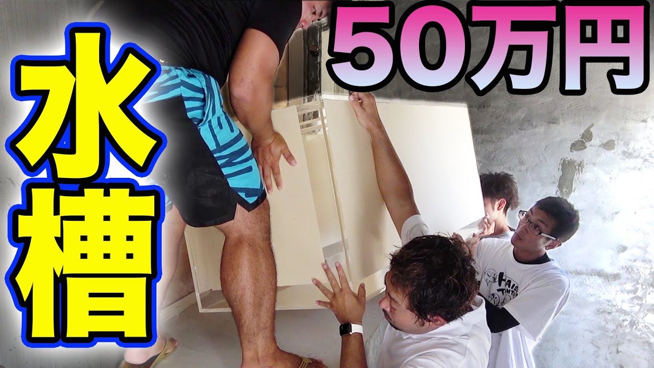 海水魚を飼うために５０万円の巨大水槽を設置しました【事務所リフォーム #24】