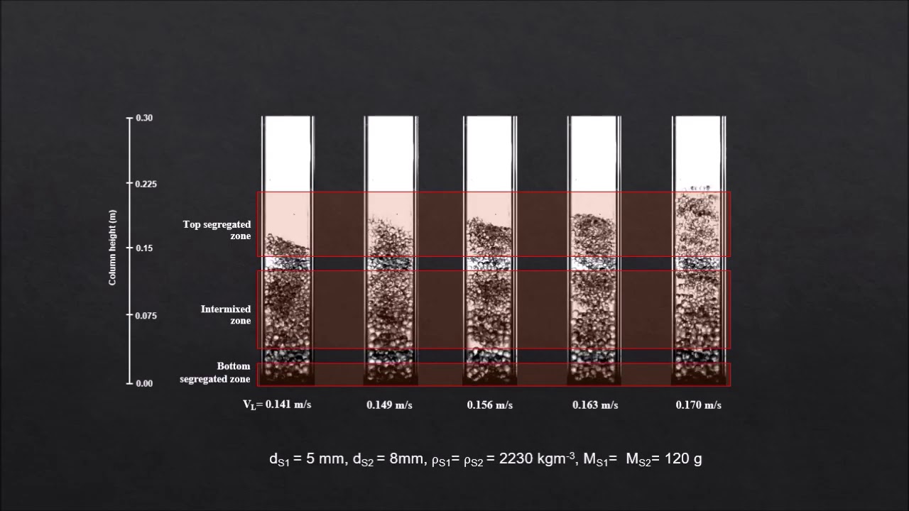 Mixing and segregation of binary particles of equal density in liquid fluidised bed