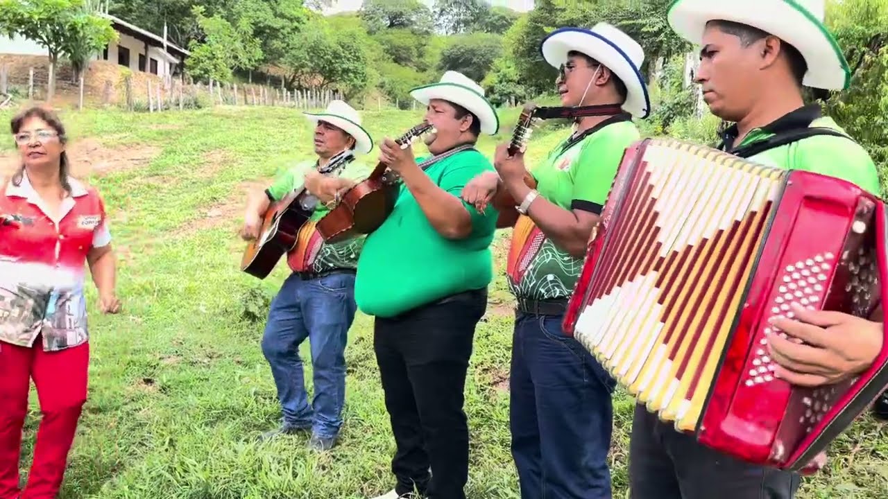 El alcon