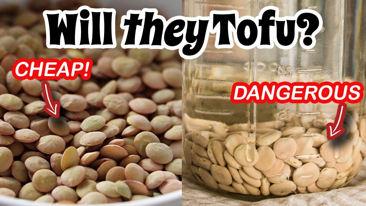THE MOST AFFORDABLE SOY-FREE TOFU?! & TAMING The Most DANGEROUS TOFU💪 | Mary's Test Kitchen
