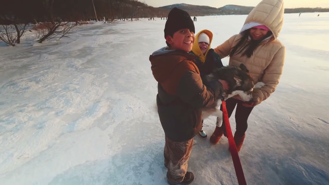 Rockland Lake Knickerbocker Ice Festival | Walking Husky
