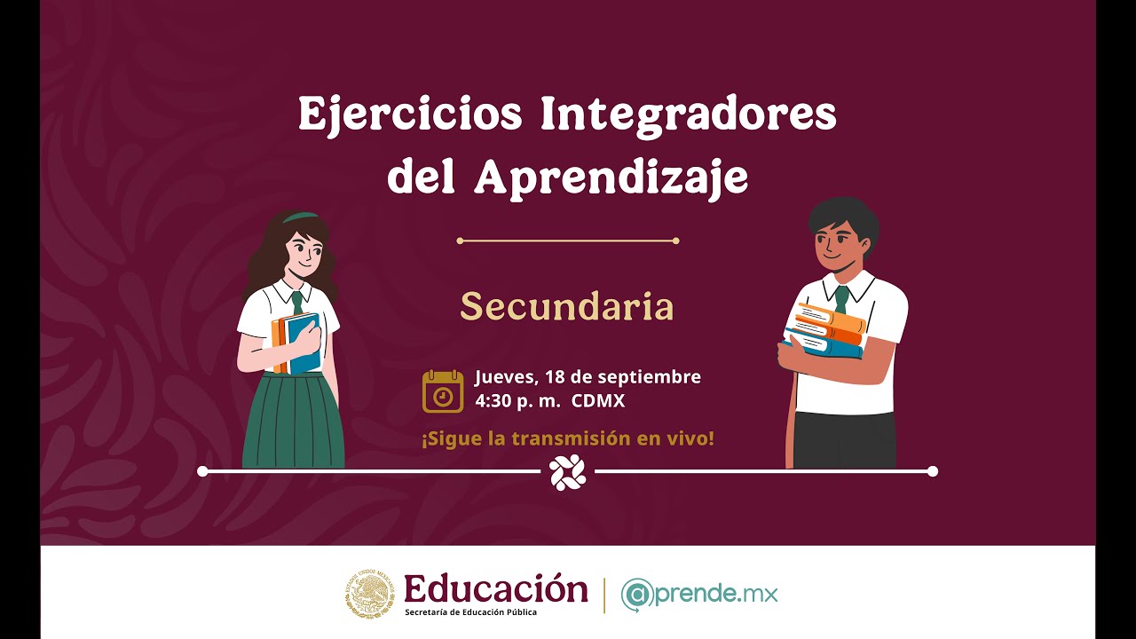 Ejercicios Integradores del Aprendizaje | Secundaria