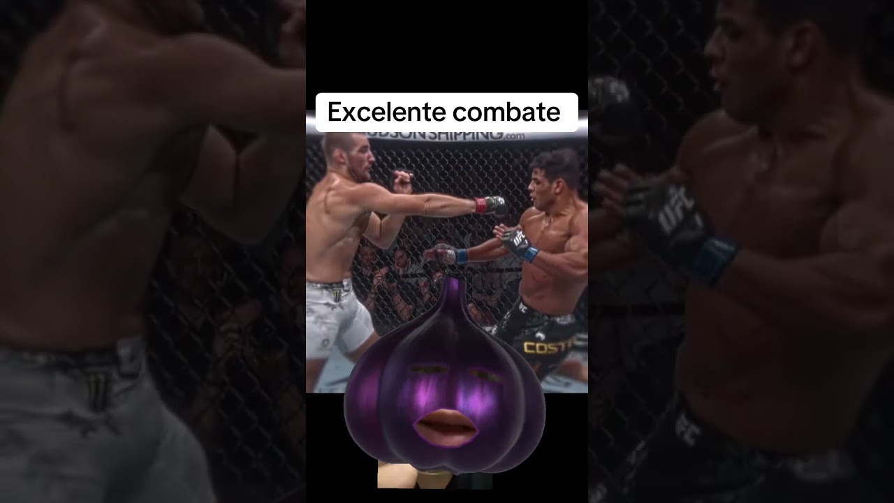 Combate #boxeo #boxylucha #striker #boxing #humor #nextfighter #memes #noticias #curiosidades #curio