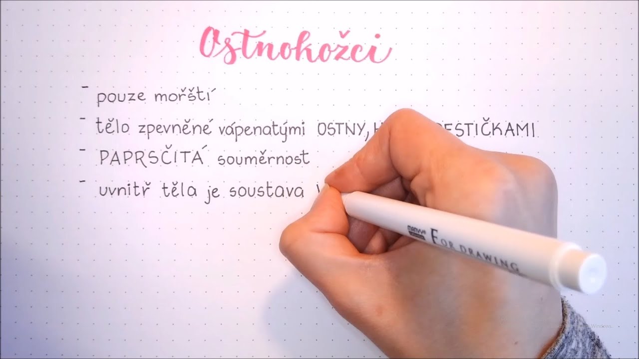 Ostnokožci