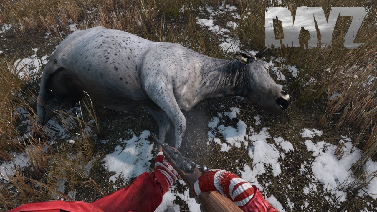 ВЫЖИВАНИЕ на ХАРДКОР СЕРВЕРЕ в DAYZ | ПРИКЛЮЧЕНИЯ в DAYZ PVP #15