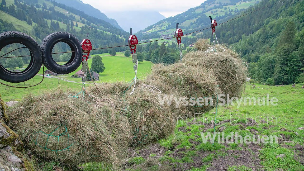 Wyssen Skymule Einsatz beim Wildheuen