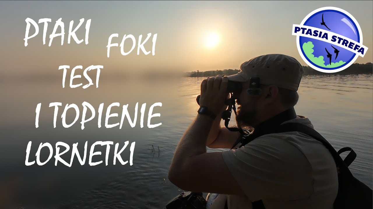 Ptaki, foki i test lornetki Delta Optical Chase 10x42