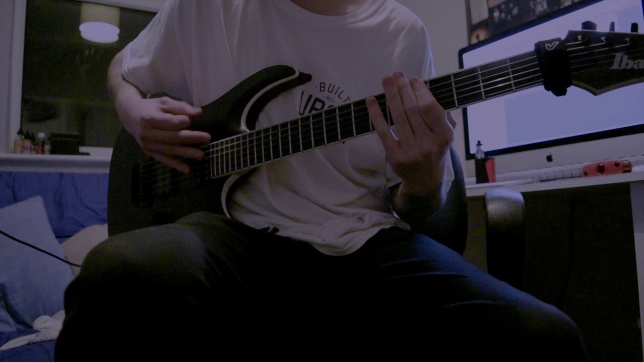 Michael Charlton - Karmadillo - Our Hollow, Our Home - Guitar Cover