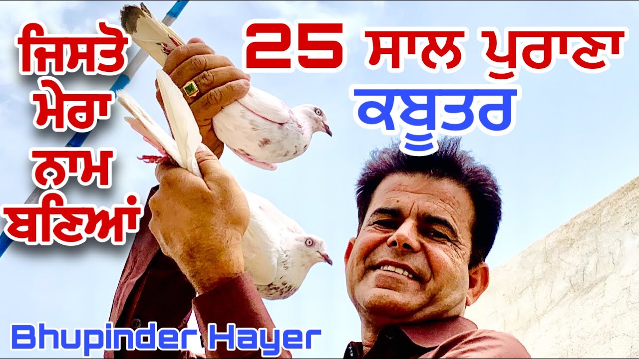 25 ਸਾਲ ਪੁਰਾਣਾਂ ਕਬੂਤਰ । Bhupinder Hayer Kabootar Pigeon Bird ਨਾਮ ਬਣਾਇਆਂ bazi HarSukh Tv B Sukh