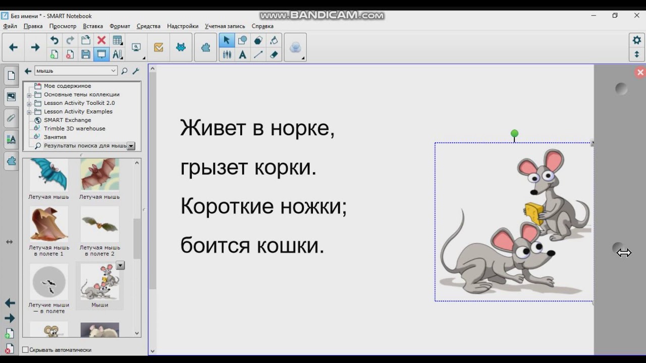 Обзор инструментов Smart Notebook (Преподаватель Скоропупова У.Г.)