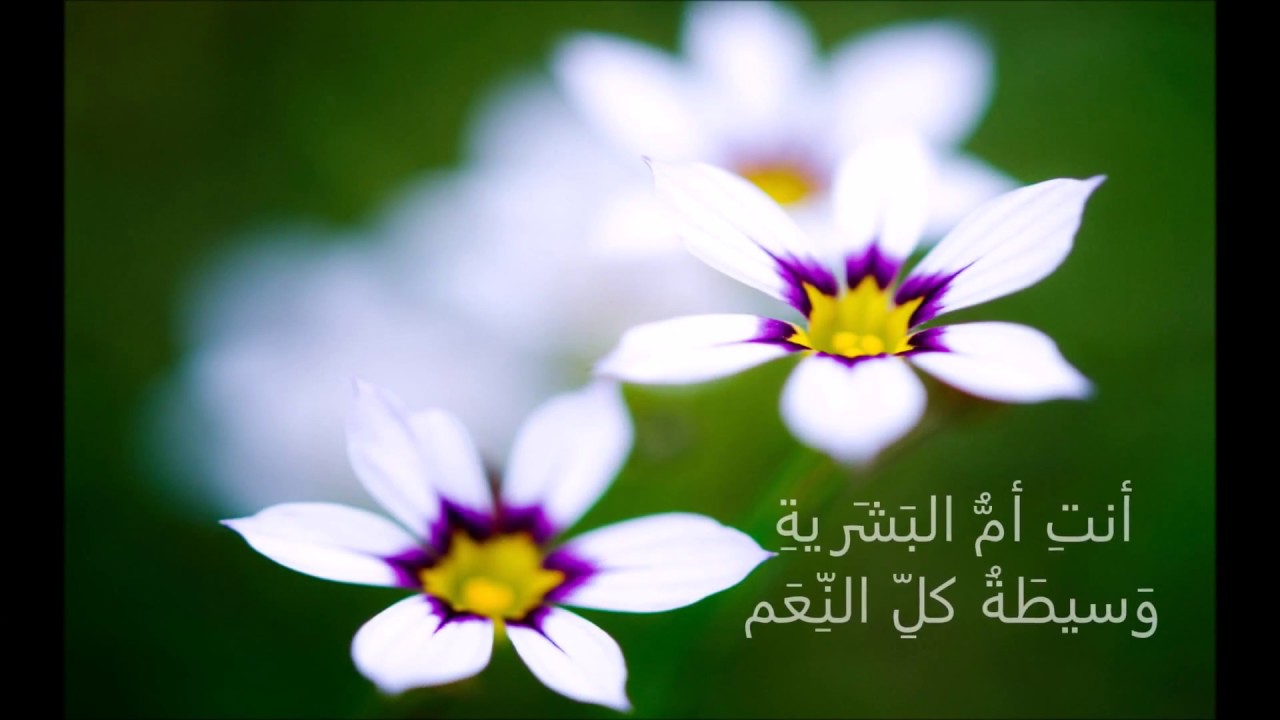 Farahou koulli farahin ترتيلة: فرح كلّ فرح