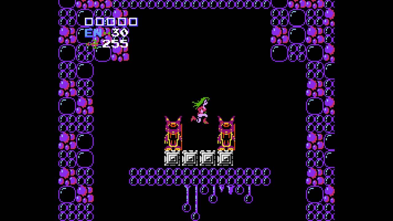 A fun Metroid password