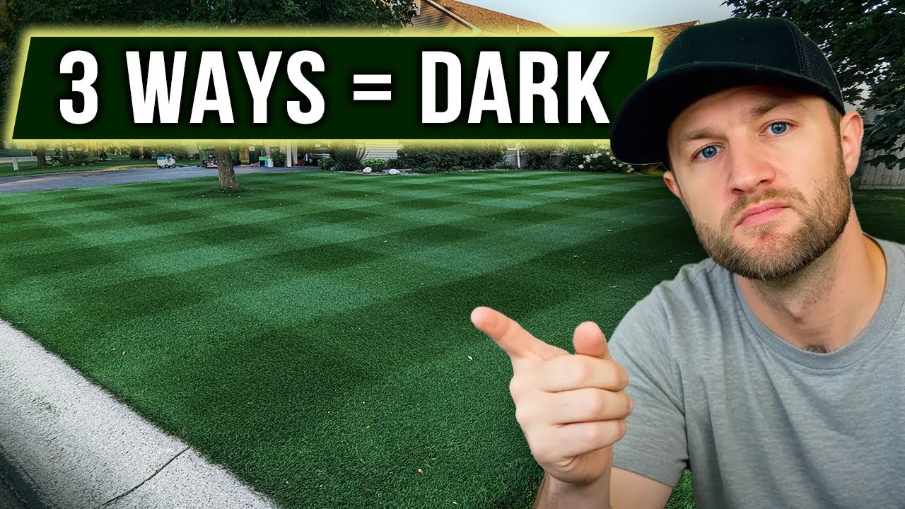 3 Ways to get a RIDICULOUSLY DARK LAWN - For Beginners