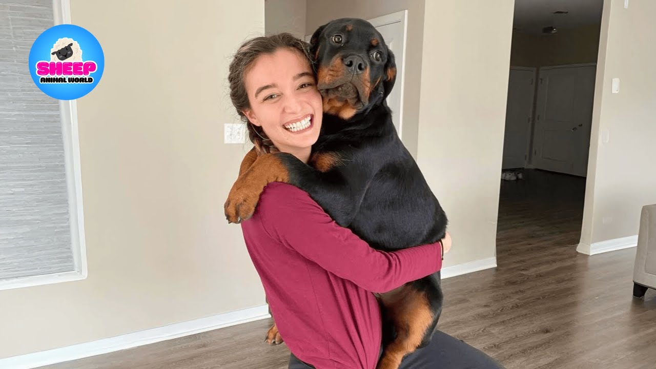 I Don’t Have Children… But This Dog Became My Whole World