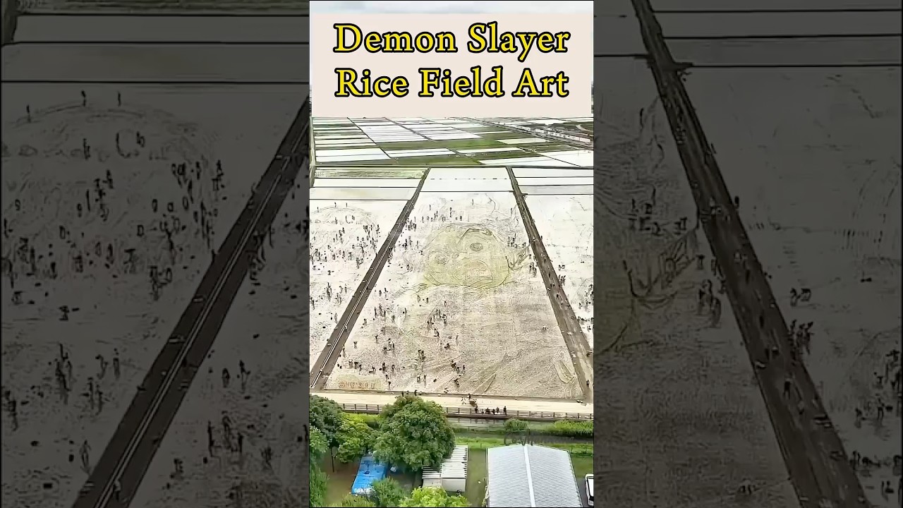 No AI🚫 - 🇯🇵 Tanjiro Rice Field Art Behind the Scenes Demon Slayer 