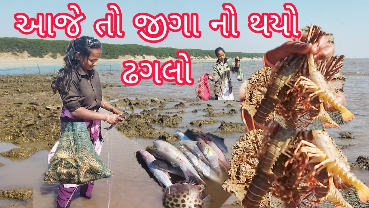 આજે તો જીગા નો થયો ઢગલો 