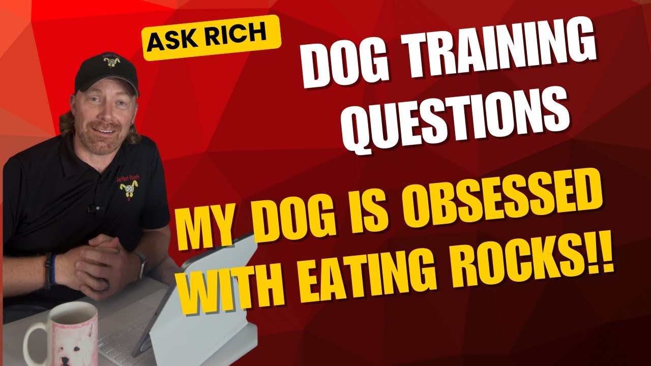 STOP! Is Your Dog Eating ROCKS? | Q&A with 25-Year Dog Trainer Rich