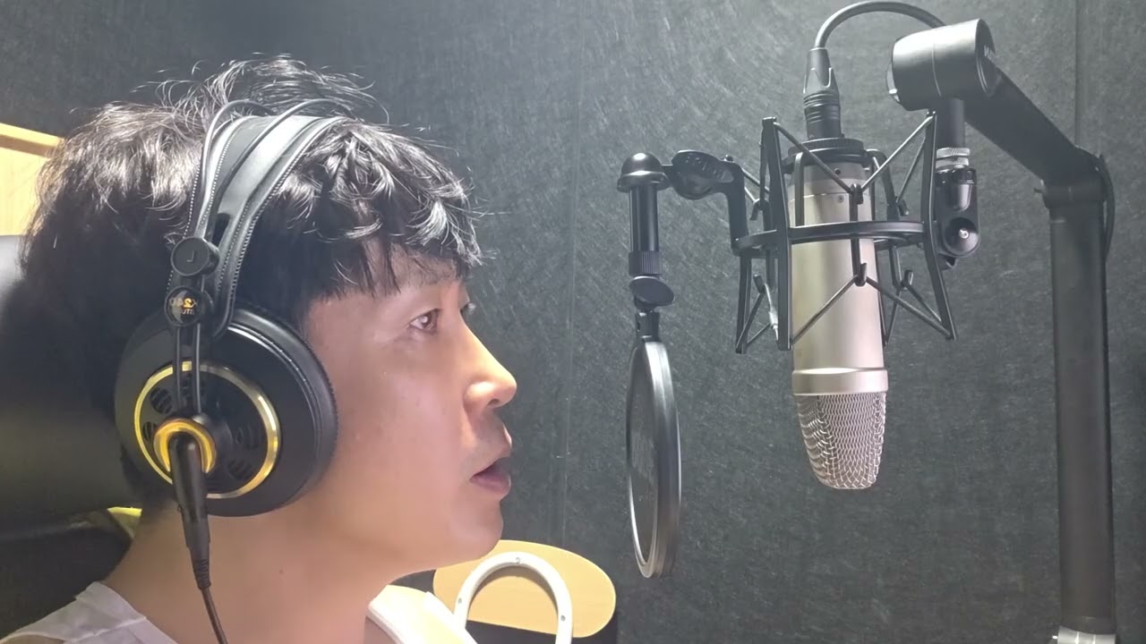 김범수 - 보고싶다 / Vocal Cover by Vinawit