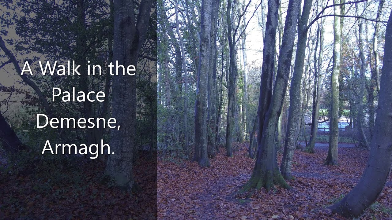 Armagh Ramble - Palace Demesne Grounds in Winter 2020 (DJI Pocket2)