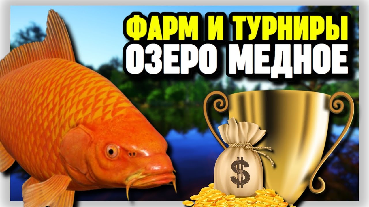 🔴 СТРИМ РР4┃💰 ФАРМ СЕРЕБРА НА ОЗЕРЕ МЕДНОМ┃🏆 ТУРНИРЫ С ПРИЗАМИ┃🎁 РОЗЫГРЫШИ И РУЛЕТКА┃maXS1k