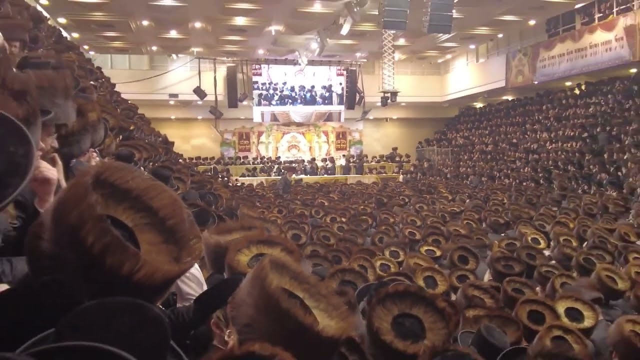 Belz Wedding: Kabules Panim | שמחת בית בעלזא: מעמד קבלת הפנים