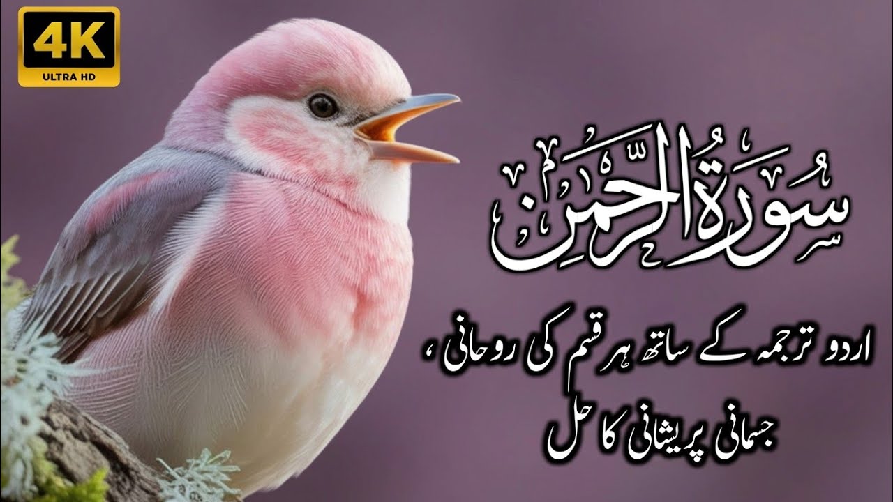 Surah Rahman With Urdu Translation | Surah Rahman Ki Tilawat Tarjuma Ke Sath | Ep 30