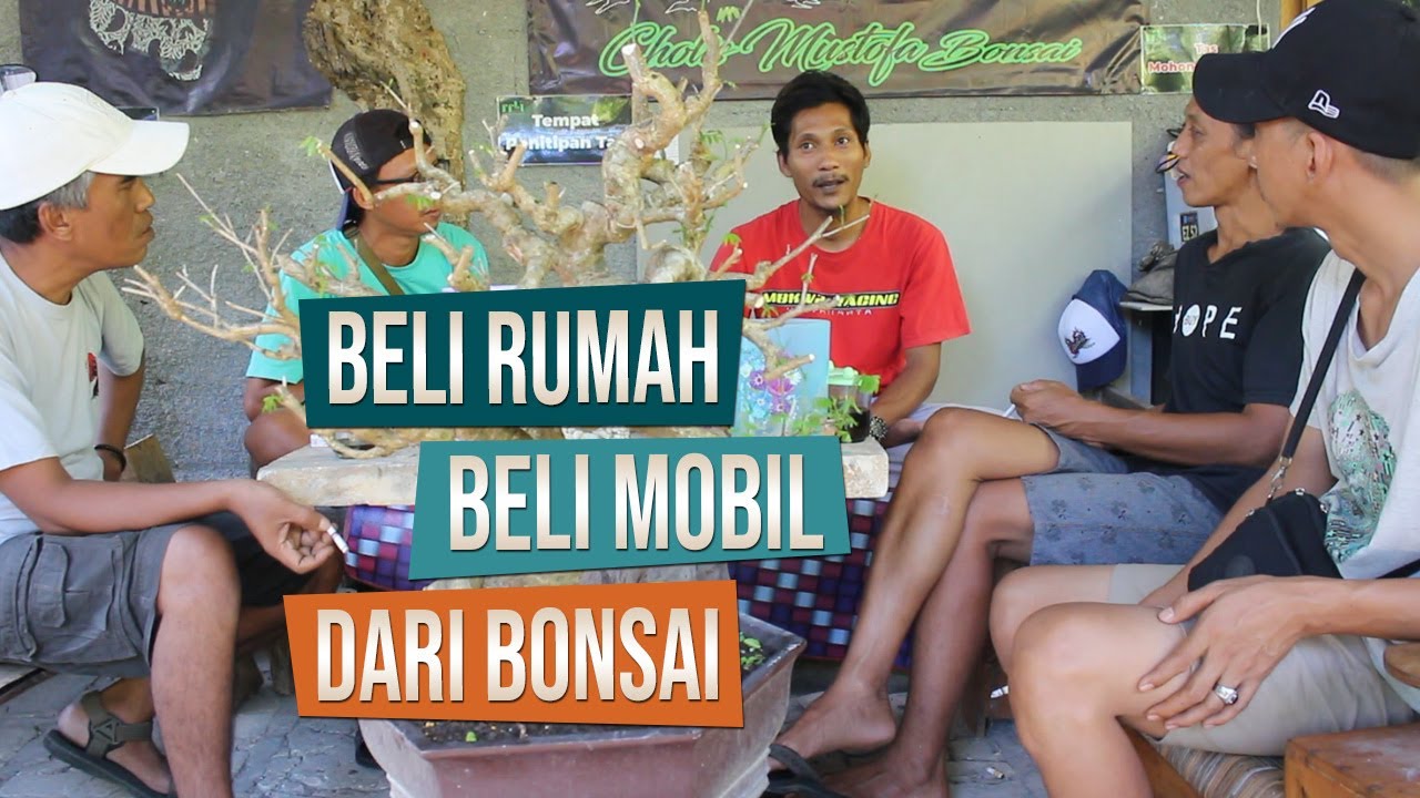 Cholis Mustofa: Dulu Karyawan Sekarang Hanya Fokus Budidaya Dan Jual Beli Bonsai