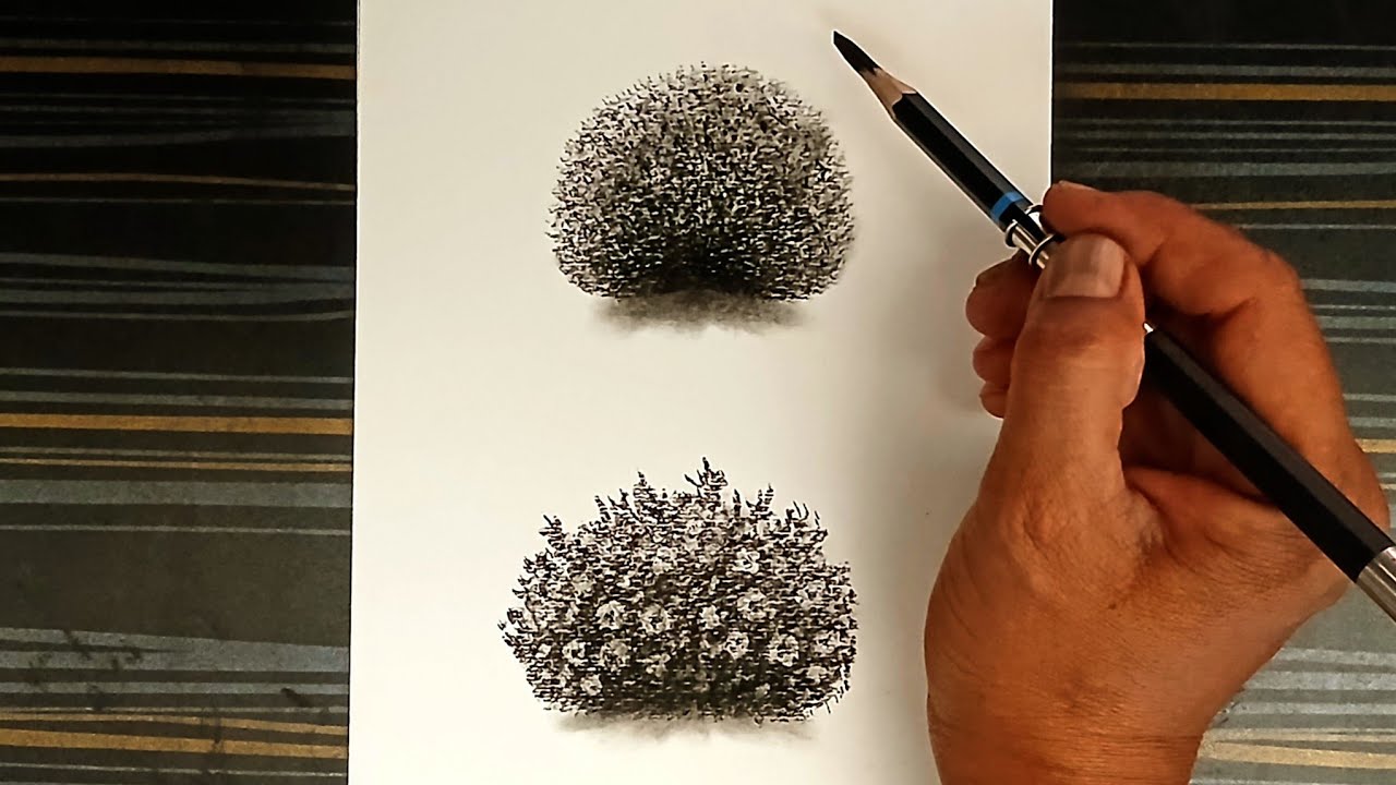 How to draw simple and flowers bushes with pencil step by step.