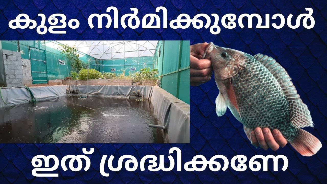 കുറഞ്ഞ ചിലവിൽ പടുത്ത കുളം  | How to make a Nylon Fish tank in low cost | Low cost fish tank