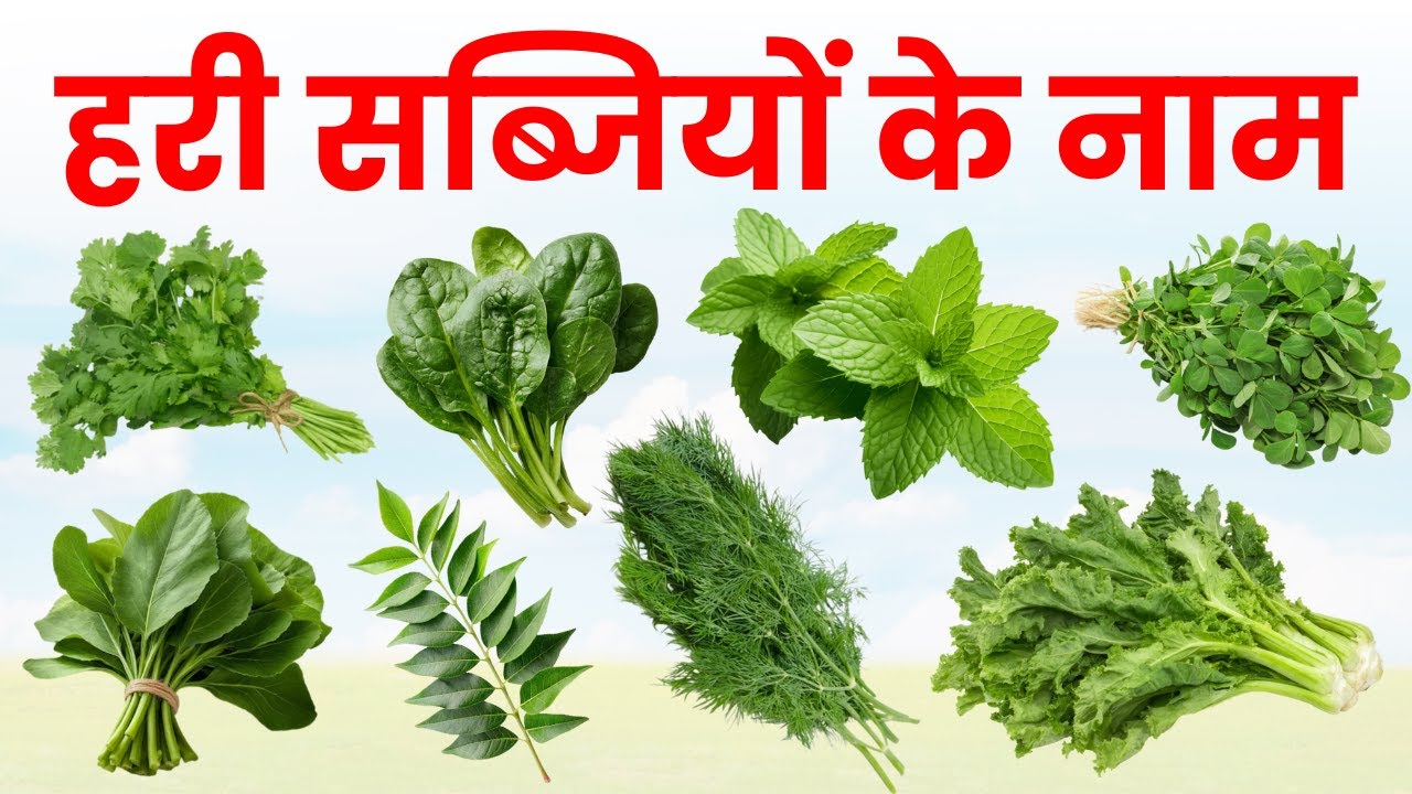 Learn Green Vegetable Names in Hindi and English | हरी सब्जियों के नाम | पत्तेवाली सब्जिया