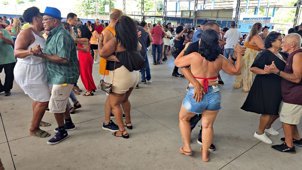 O FORRÓ MAIS ALEGRE DO BRASIL | AS MELHORES DO BAILÃO 