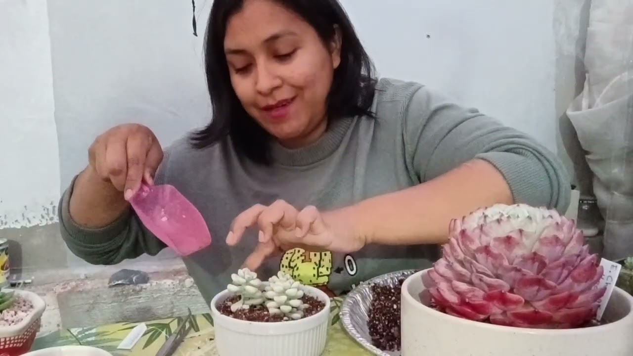 Mi ultimo video en el viejo jardín 🥹 comenzamos una etapa nueva etapa! 