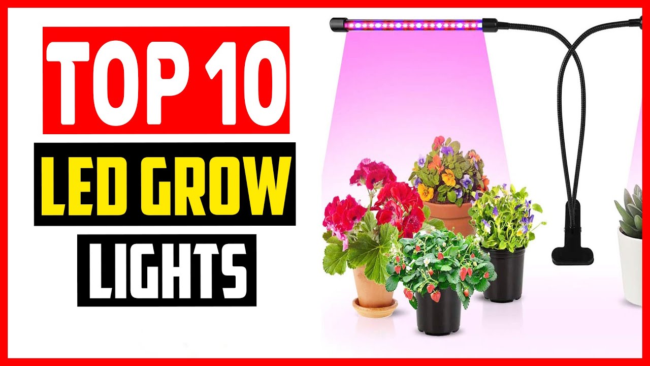 ✅ Top 10 Best LED Grow Lights For Indoor Plants of 2025