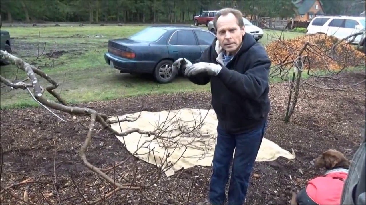 2016 Pruning Class - Back To Eden Garden - L2Survive with Thatnub
